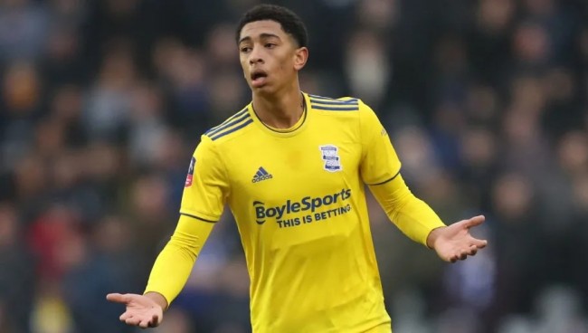 PL夏季总 PL夏季总